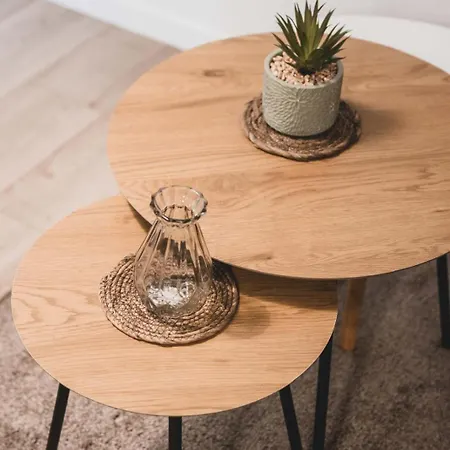 Apartamento Le Confort De Blandan Parking Prive Et Terrasse *